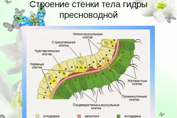 Кракен бошки