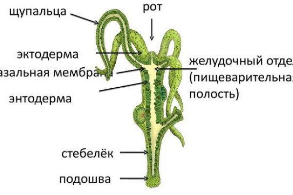 Сайты где купить наркотики