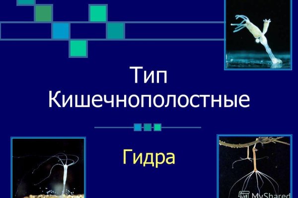 Кракен даркнет скачать