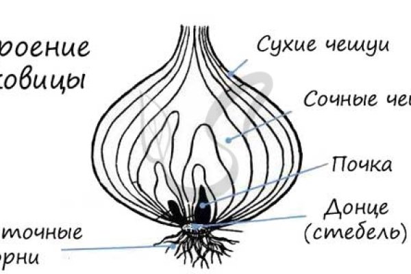 Кракен топ