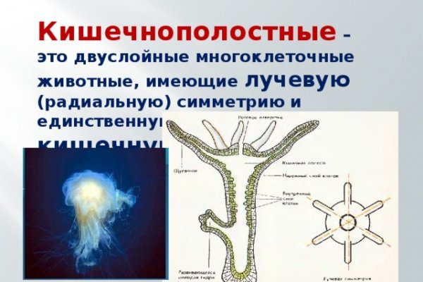 Кракен магазин тор