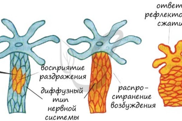 Переход на кракен